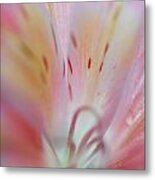 Inner Heaven. Floral Discovery Metal Print