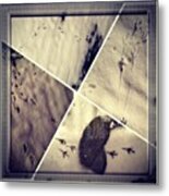 #instacollage #footprints #bird #human Metal Print