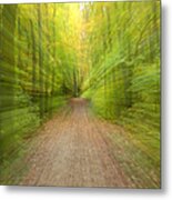 Into The Forest Metal Print