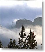 Into The Mist Metal Print