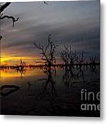 Into The Night Metal Print