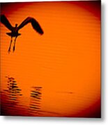 Into The Sunset Metal Print