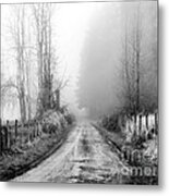 Into The Unknown Metal Print