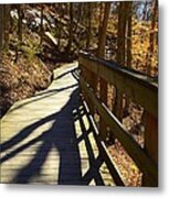 Into The Woods Metal Print