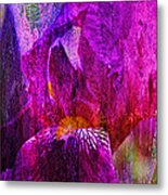 Iris Abstract Metal Print