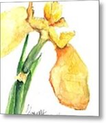 Iris Blooms Metal Print