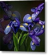 Iris Fantasy Metal Print