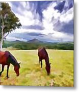 Irish Horses Afield Metal Print