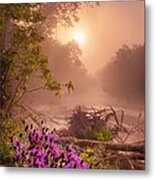Ironweed In Mist Metal Print