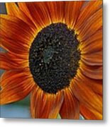 Isabella Sun Metal Print