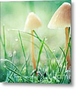 It's A Small World Metal Print