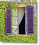 Ivy Covered Window Of Tuscany Metal Print