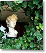 Ivy David Metal Print