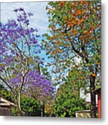 Jacaranda Walk Metal Print