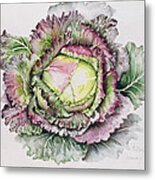 January King Cabbage Metal Print