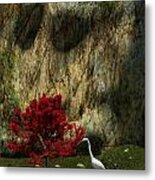 Japanese Maple Metal Print