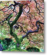 Japanese Tree In Garden Metal Print