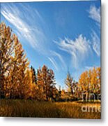 Jasper - Autumn Sky Chief Metal Print