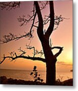 Jeju Sunset Metal Print