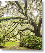 Jekyll Island Ga The Plantation Oak Metal Print