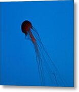 Jellyfish - National Aquarium In Baltimore Md - 12121 Metal Print