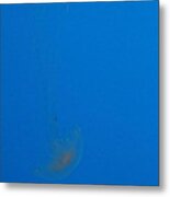 Jellyfish - National Aquarium In Baltimore Md - 121218 Metal Print
