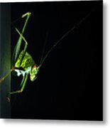 Jiminy Cricket Metal Print