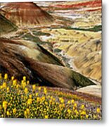 John Day Painted Hills Oregon Metal Print