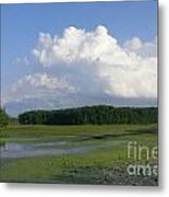 June Reservoir Metal Print