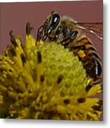 Just Bee Metal Print