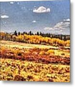 Just North Of Fairplay Colorado Metal Print