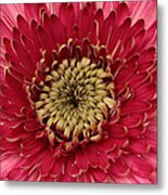 Pink Petal Universe Metal Print