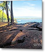 Kaloli Point 3 Metal Print