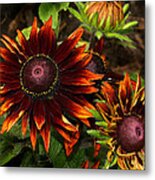 Kathy's Garden Metal Print