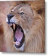 King Of Beasts Metal Print