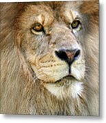 King Of The Beasts Metal Print