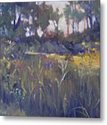 Kingwood Prairie Metal Print