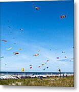 Kite Festial Metal Print