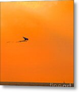 Kite-flying At Sunset Metal Print