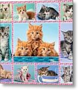 Kittens Gingham Multi-pic Metal Print