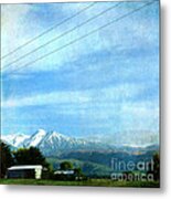 Kiwi Barn Metal Print