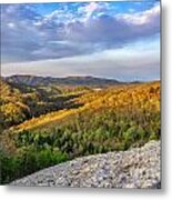 Knobby Rock Metal Print