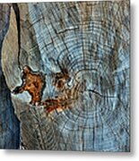 Knotty Metal Print