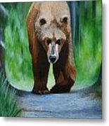 Kodiak Metal Print