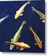 Koi Floating In Blue Metal Print