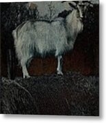 La Capra - The Goat Metal Print