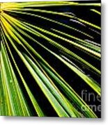 La Palma Metal Print