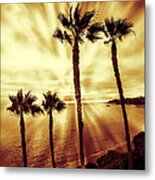 Laguna Beach Sunset Metal Print