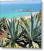 Laguna Coast With Cactus Metal Print