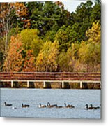 Lake At Kennedy Park Metal Print